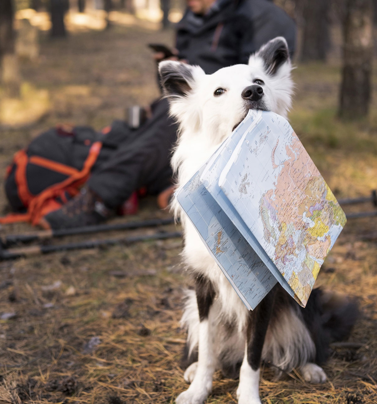 expedicion-pasaporte-1